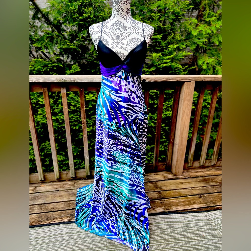 Long backless dress from Cachè size 4